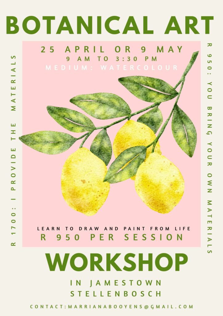 Botanical Art Workshop 25 April, 9 May, Stellenbosch Jamestown